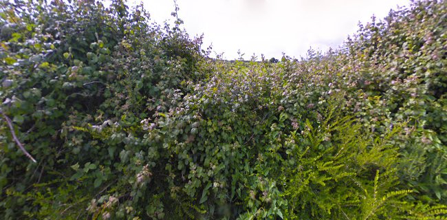 O'Connors pub Moyglass Loughrea Co. Galway