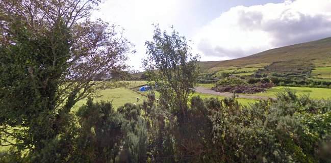 The Kerry cake company