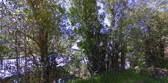 Bridia Valley Ice Cream