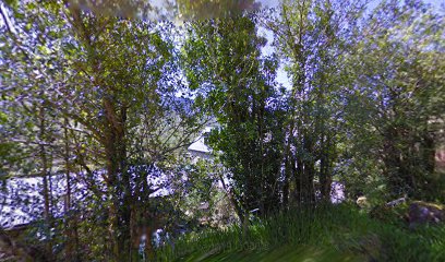 Bridia Valley Ice Cream