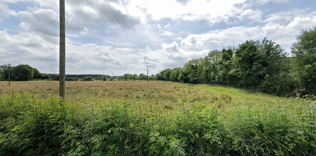 Lisa's Bakes and Treats