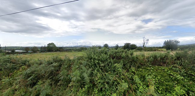 Comeragh Mountain Farm