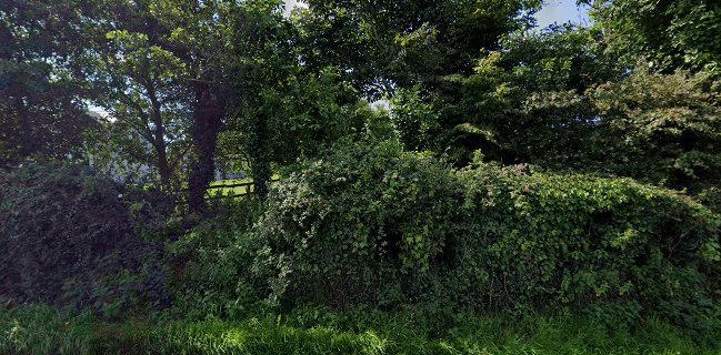 Lolu Bakes - Hospitality and gastronomy